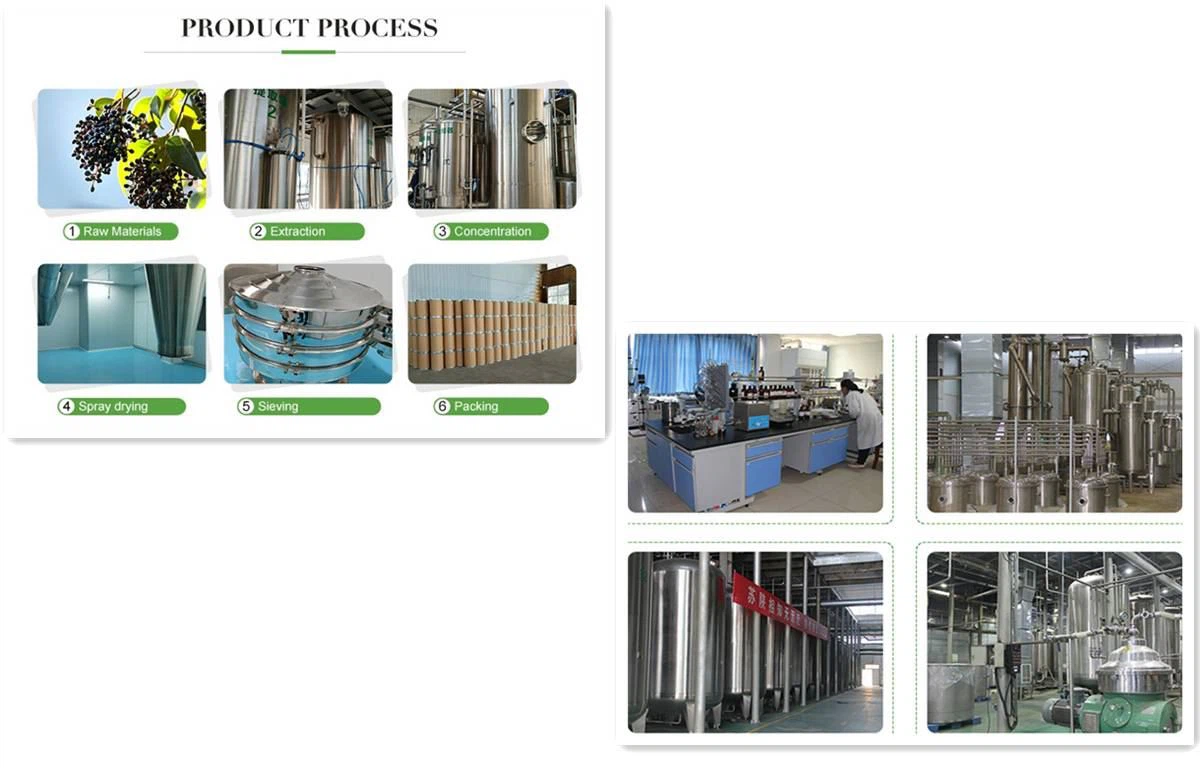 Production Process1(1)