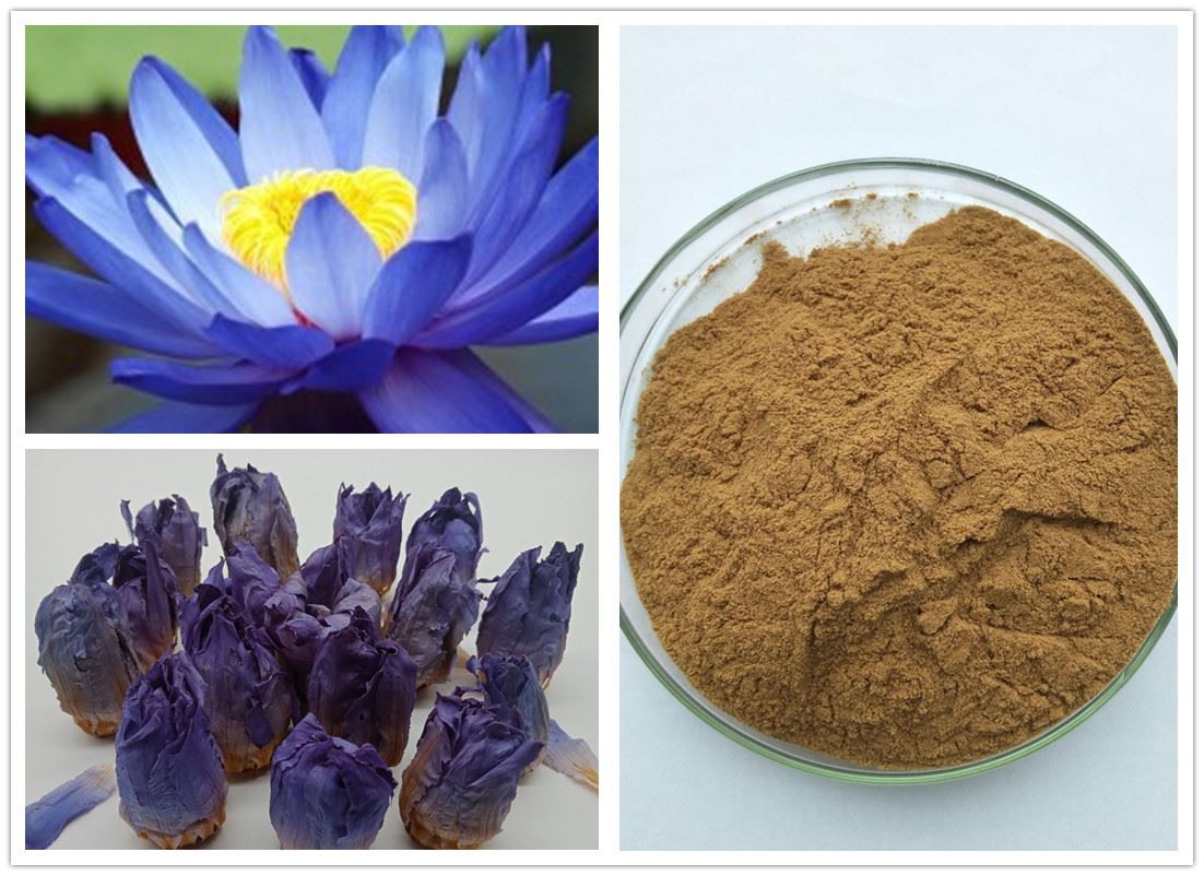Blue lotus extract