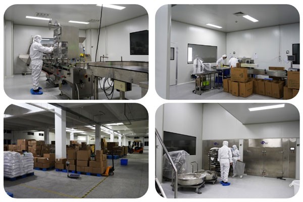 lab2 lab2