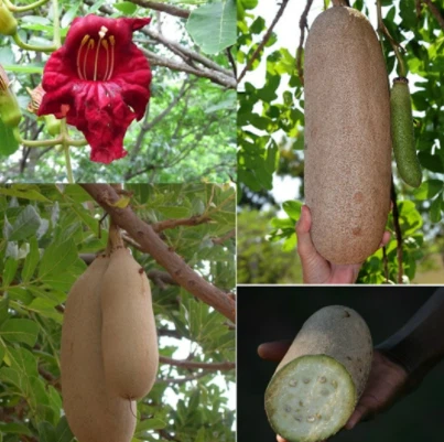 news-403-401 news-403-401