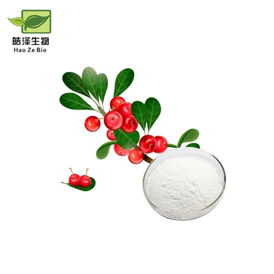 ألفا أربوتين